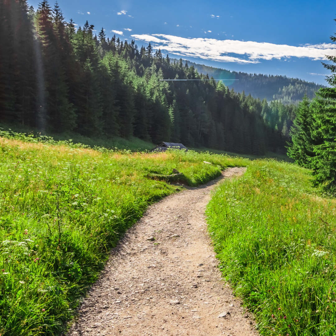 Hiking Trail | Blog Post